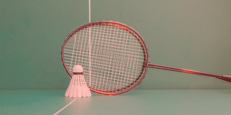 Persatuan Bulutangkis Seluruh Indonesia