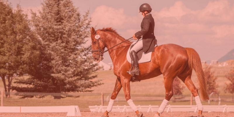 Persatuan Olahraga Berkuda Seluruh Indonesia