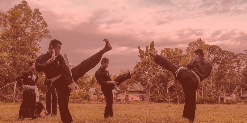 Ikatan Pencak Silat Indonesia