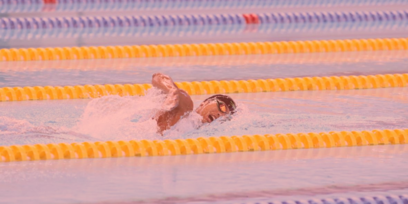 Persatuan Renang Seluruh Indonesia